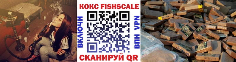 цены наркотик  Гусев  мега как войти  COCAIN Fish Scale 