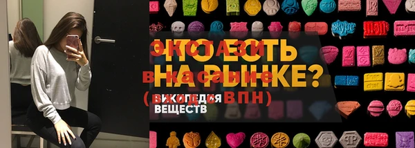 ECSTASY Вяземский