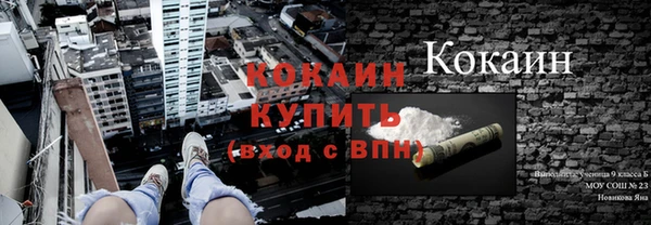 гашик Волосово