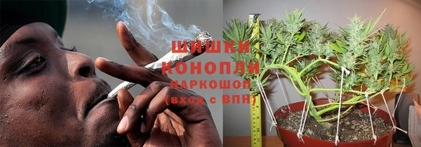 гашик Волосово
