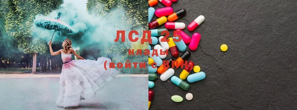 крисы Бородино